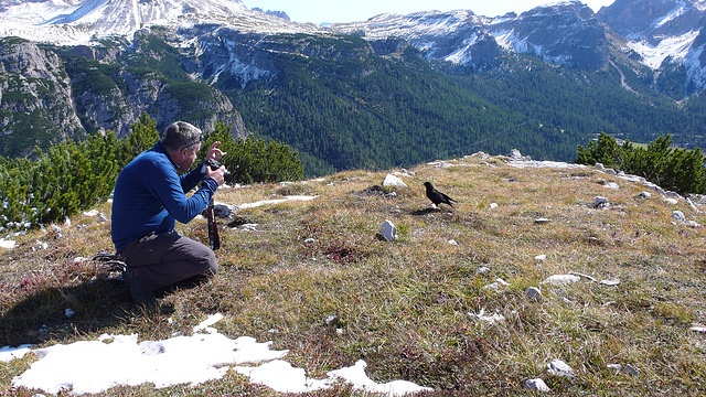 Wildlife Photographer at Work