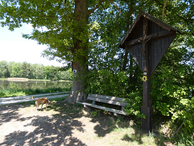 Charlottenhofer Weihergebiet