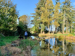 The Japanese Garden at the Burgie Arboretum