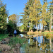 The Japanese Garden at the Burgie Arboretum