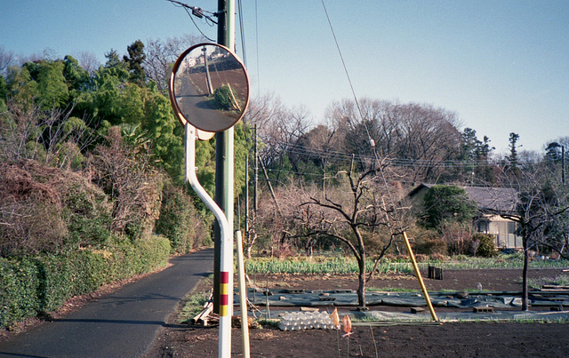 Traffic mirror