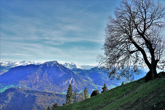 Aussicht aus der Pilatus-Bahn