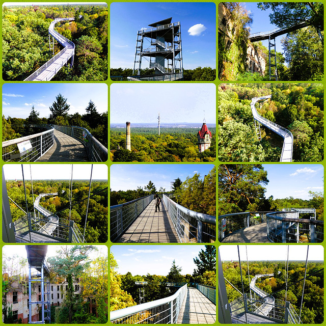 Zeitreise - 20.092018 - Beelitz Baumkronenpfad