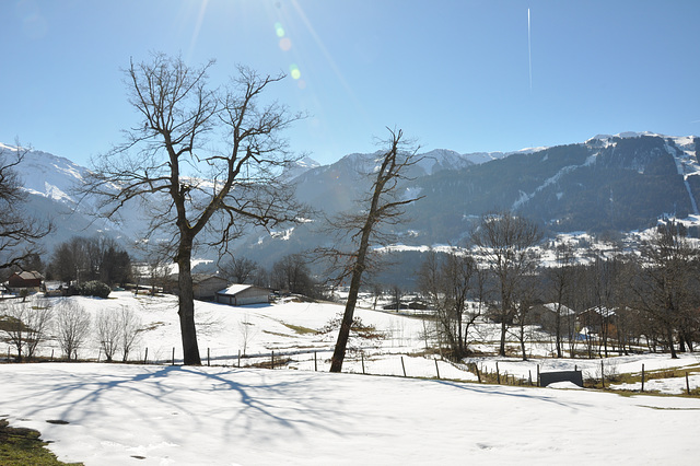 environ de SAMOËNS