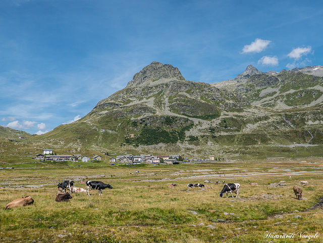 Blick auf Montespluga