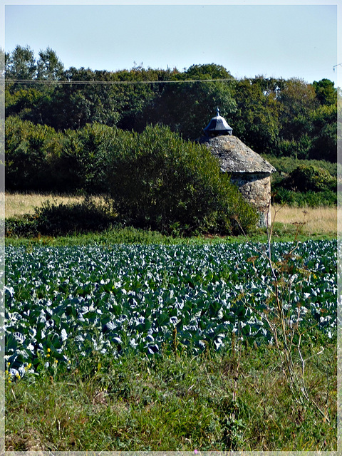 Pigeonnier du vieux Châtel à Saint Coulomb (35)