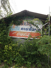 Coca-Cola dans la verdure