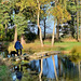 The Japanese Garden at the Burgie Arboretum