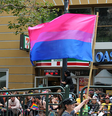 San Francisco Pride Parade 2015 - Bisexual Pride Flag (6003)