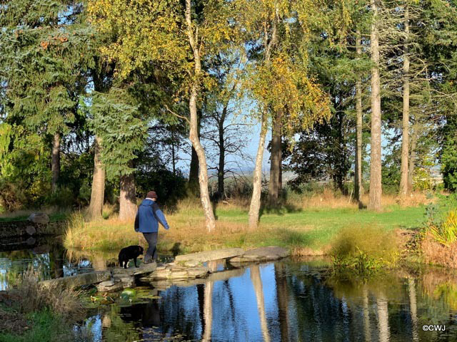 The Japanese Garden at the Burgie Arboretum