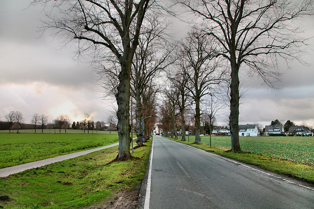 Massener Straße (Holzwickede) / 25.12.2020