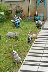 Petit jardin de banlieue pour nostalgique de la campagne