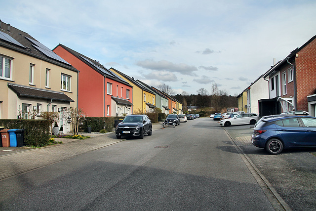 Röttgersbank (Essen-Altenessen) / 2.03.2024