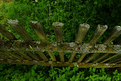 Zaun halt