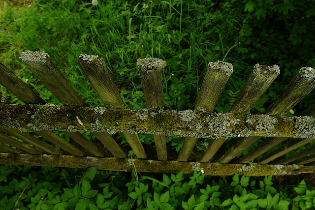 Zaun halt Zaun halt