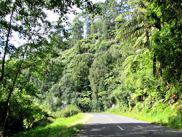 Road From Ahititi.