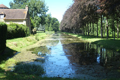 Parc du château de Jeurre