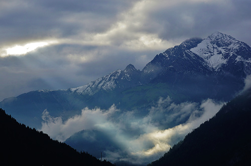 Morgenstund hat Gold im Mund - A bon gain qui se lève matin