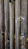 A Fence for Friday
