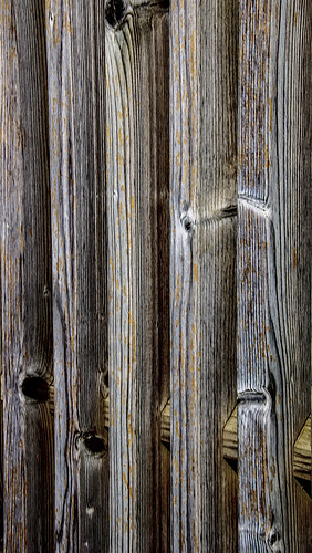 A Fence for Friday