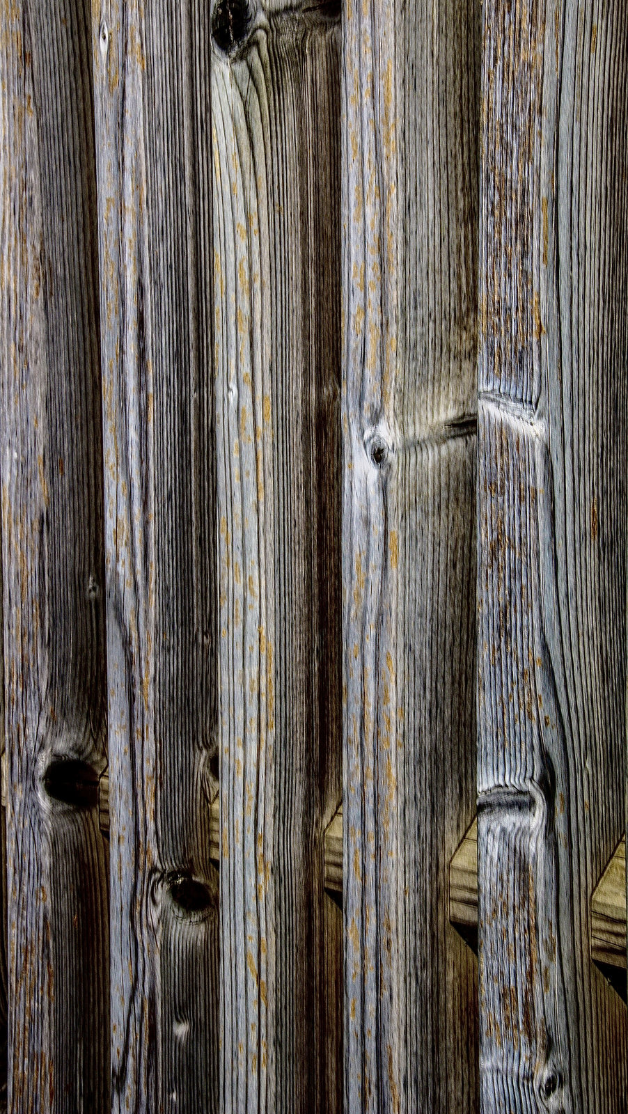 A Fence for Friday