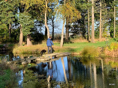 The Japanese Garden at the Burgie Arboretum