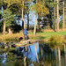 The Japanese Garden at the Burgie Arboretum