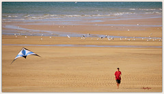 A la plage de Siouville..............Bon jeudi mes ami(e)s ❤️