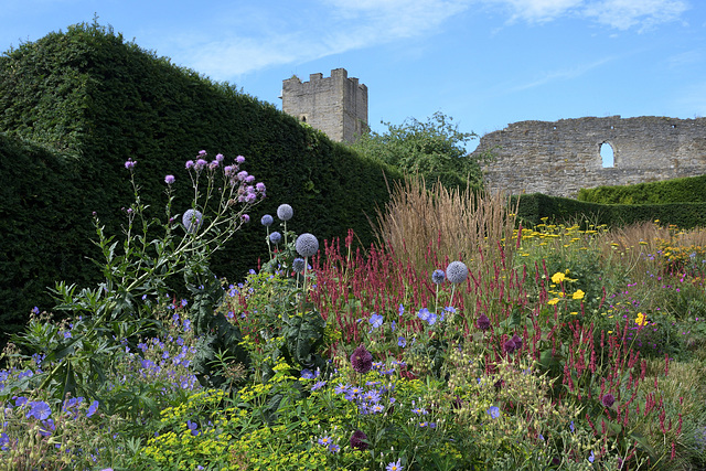 Richmond Castle cockpit garden