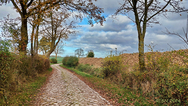 Vier Kilometer Kopfsteinpflaster