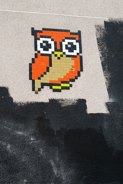 IMG 3556-001-Invader Owl