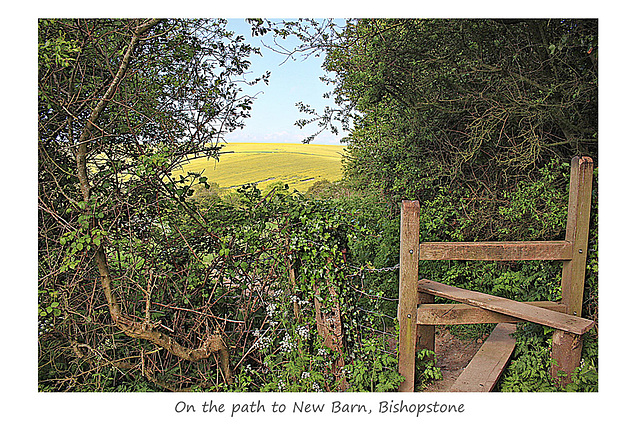 Downland vignette - Bishopstone - 17.5.2016