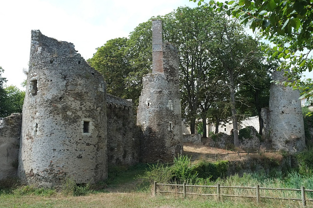 Ruines du château médiéval de la Turmelière