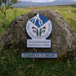 cym - tomen sign cym - tomen sign