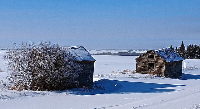 Prairie near Valhalla, Alberta.