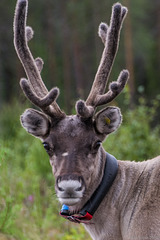 Begegnungen ... (© Buelipix)