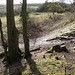 Danebury Iron Age Hillfort