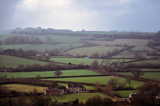 The Blackmore Vale