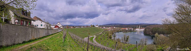 Kloster Rheinau