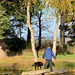 The Japanese Garden at the Burgie Arboretum