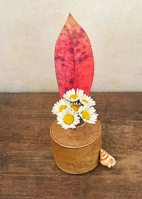 red leaf & daisies
