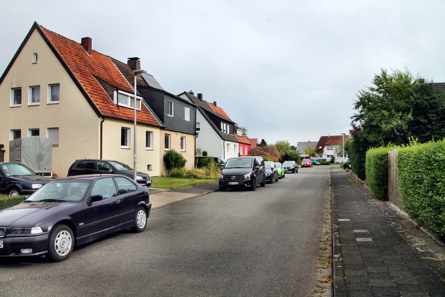 Am Hülsenbusch (Hamm) / 6.07.2024