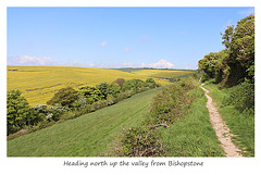 Heading north up the valley from Bishopstone - 17.5.2016