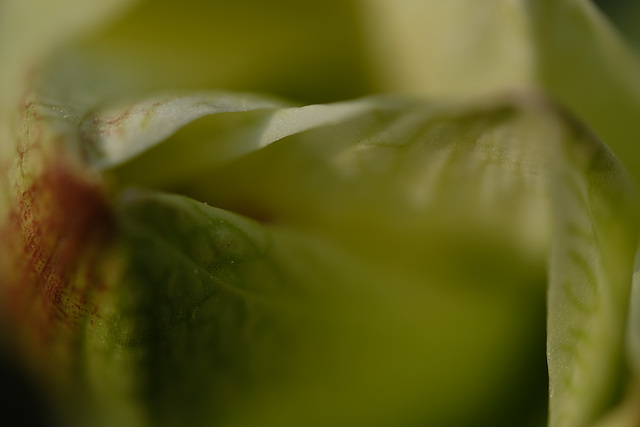 DSCF7783
