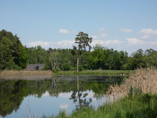 Charlottenhofer Weihergebiet