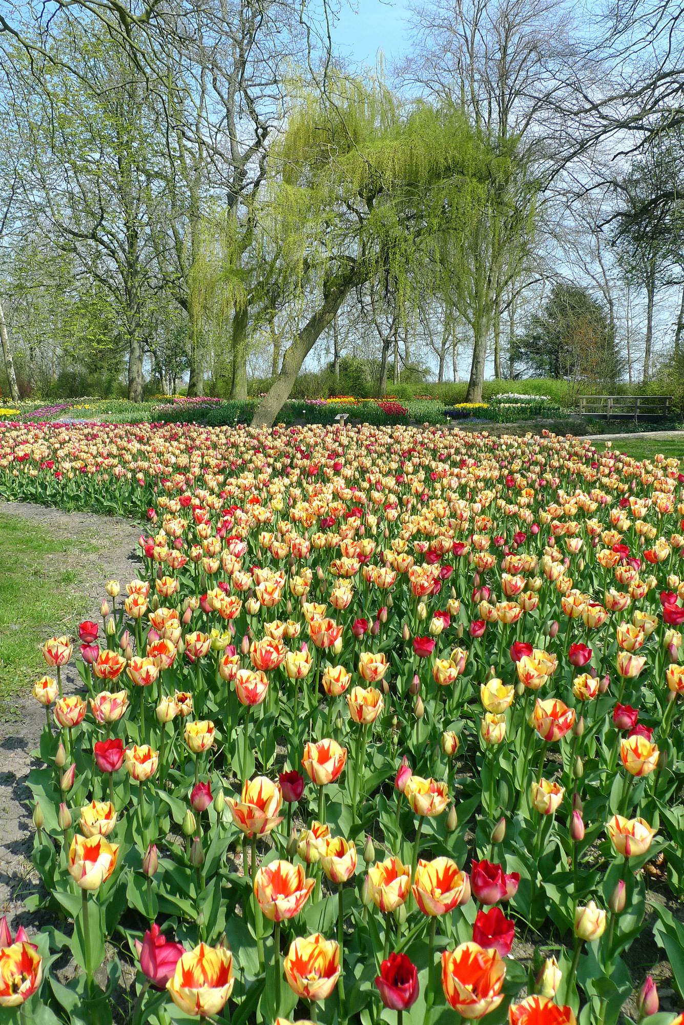 Nederland - Anna Paulowna, Poldertuin