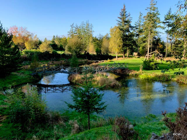 The Japanese Garden at the Burgie Arboretum