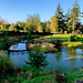 The Japanese Garden at the Burgie Arboretum