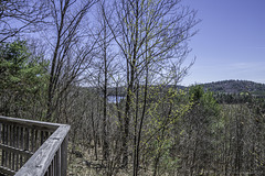 view from Algonquin Provincial Park Visitor Centre (© Buelipix)