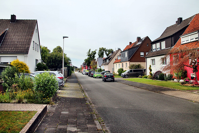 Am Hülsenbusch (Hamm) / 6.07.2024